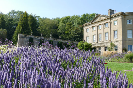 Lavender Garden at Claverton Manor American Museum