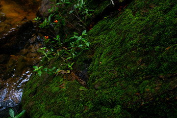 Natural waterfall, shoulder river, through the top of the mountain