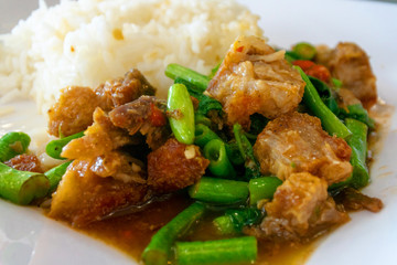 Close-up of Fried crispy pork with basil leaves and rice,Thai Food