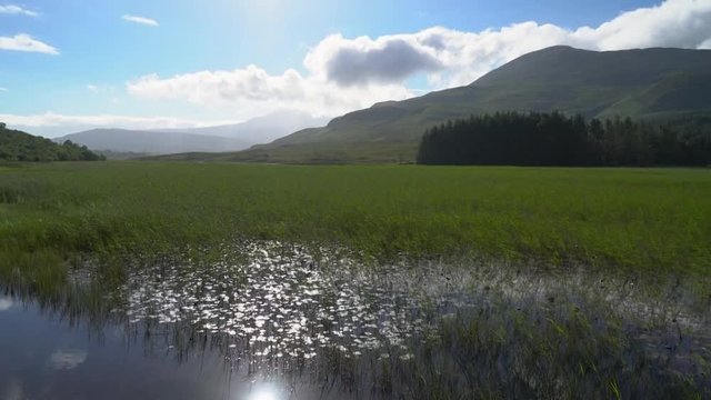 Cill Bilder Durchsuchen 313 Archivfotos, und Videos