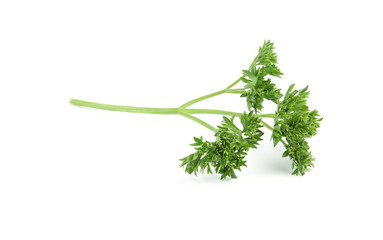 Fresh green organic parsley on white background