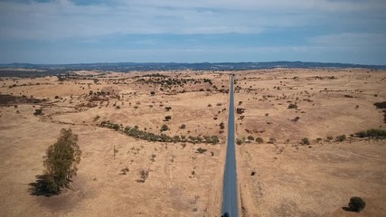 Aerial view of a country road in spring. Alentejo, Portugal. Drone view