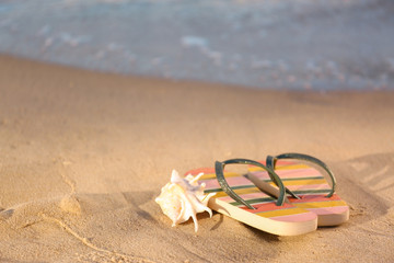 Stylish flip flops and shell on sand near sea, space for text. Beach accessories