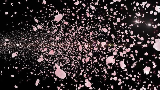 Cherry Blossom Sakura Petals and Lens Flares Particles background