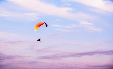soaring paraglider