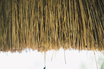straw from thatched roof