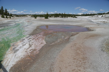  yellowstone national park the nature