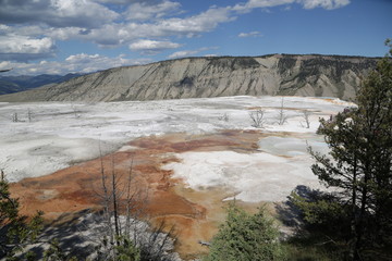  yellowstone national park the nature