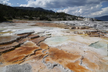  yellowstone national park the nature