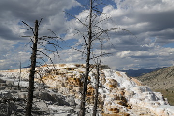  yellowstone national park the nature