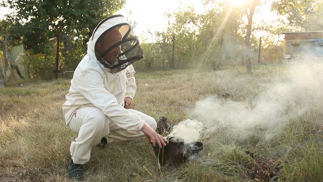 beekeeper man working with a smoke pipe beeper wooden hives smoker device
