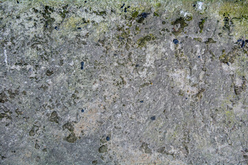 Rough old asphalt, dirt, stones, moss. Surface of broken weathered city sidewalk