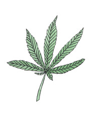 Watercolor illustration of big Green Hemp leave