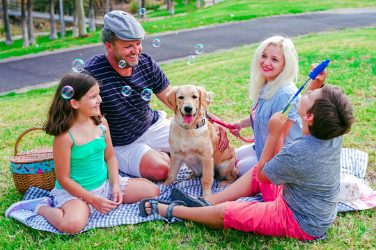 Happy family with their dog in a good sun day. The boy playing with soap bubbles. Happy family doing picnic in the park . Focus the dog - Image