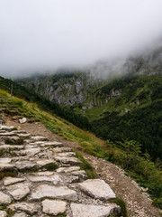 road in mountains in fog