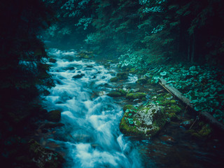 mountain stream in the morning
