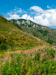 landscape in the tatra mountains © ar2r.e