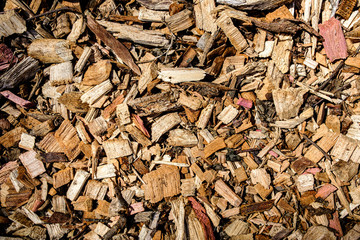 Fresh Wood Chips