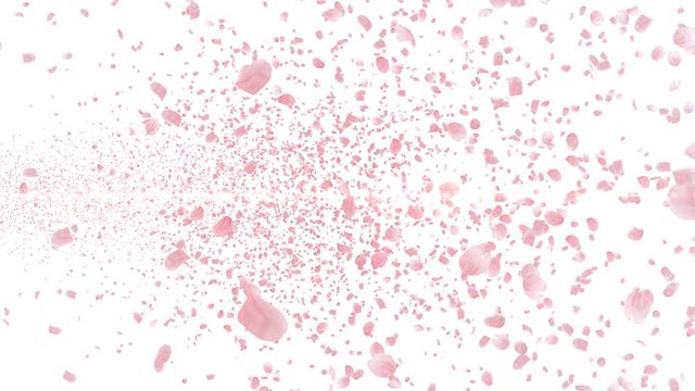 Cherry Blossom Sakura Petals and Lens Flares Particles background