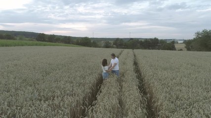 Aerial drone parallax shot of a lovely mixed race couple kissing and hugging affectionally in the middle of a hay wheat spike crop field