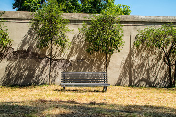 Bancos de jardim em um parque arborizado ótimo para descanso, ao redor do mundo (coleção de...
