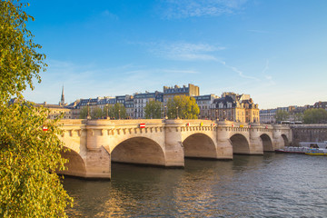 Fototapeta premium Pont Neuf