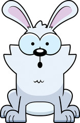 Surprised Little Rabbit