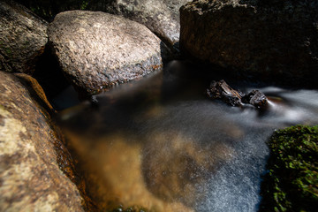 stream in the forest