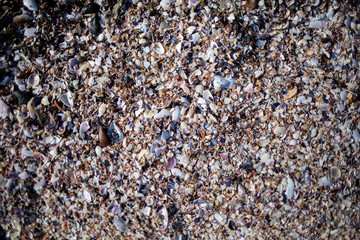 pebbles on the beach