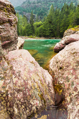 river in the forest glacier national park