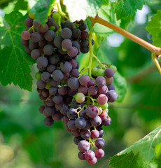 La belleza de la naturaleza