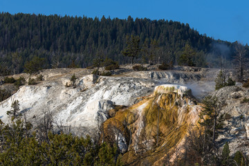 Fototapeta na wymiar view of thermal area at yellowstone