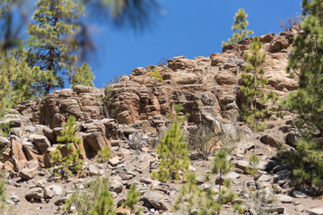 Naklejka premium Rare stone formations in the mountains, Tenerife, Spain