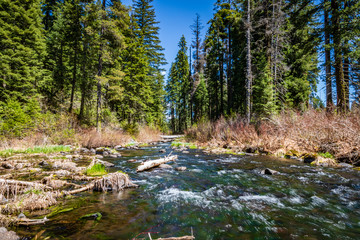 Nort Fork Little Butte Creek
