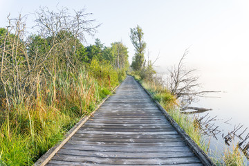 Landschaft an einem Moos See mit Nebel im Morgengrauen im Fr&uuml;hherbst