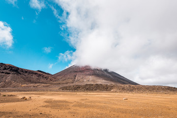 Tongariro Alpine Crossing, View to Mount Ngauruhoe, volcanic landscape, Tongariro National Park, Ruapehu, New Zealand