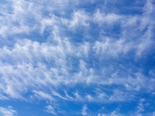 Blue and white high summer clouds