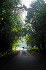 Man walking on a path surrounded by nature