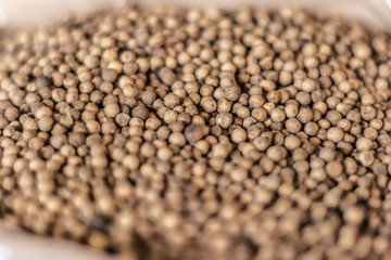 Coriander Grains