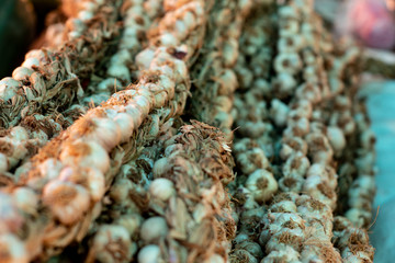 garlic
