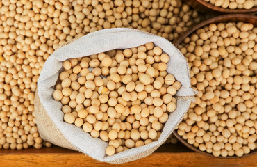 Raw dried soybean or soya bean