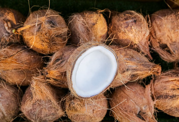 Pile of ripe coconuts