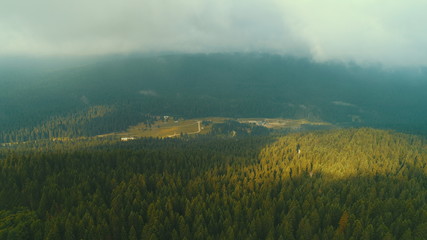 Fototapeta na wymiar aerial forest after rain with athmosferic fog clouds and curvy country road
