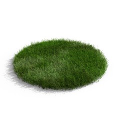 circle of grass isolated on white