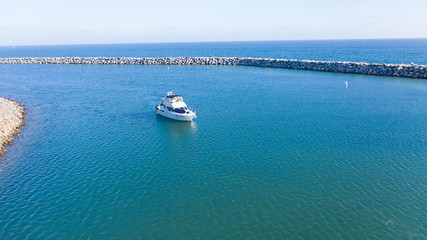 Obraz premium Dana Pont Harbor seals, cliffs, boats