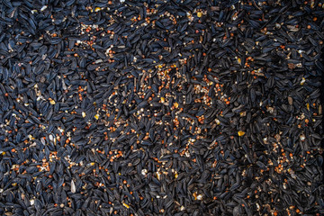 Bird Food