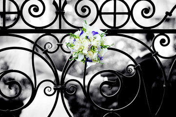 Fototapeta na wymiar A bright bouquet is inserted into an elegant forged fence, behind which the newlyweds will defocus their hands. Selective color removal, grain
