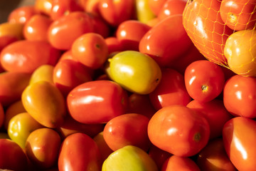 tomatoes