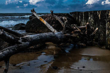 snag on the beach