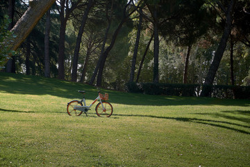bicicleta en el parque esperando ser usada